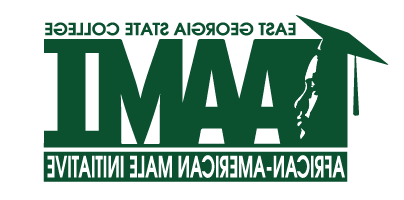 AAMI Logo